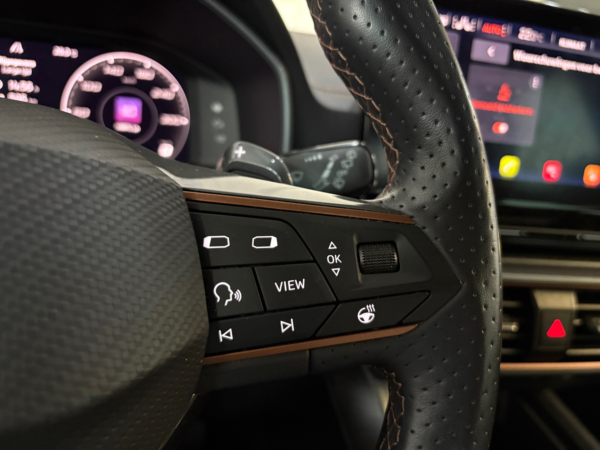 Cupra Formentor 1.4 e-Hybrid 204PK ACC/Pano/CARP 14