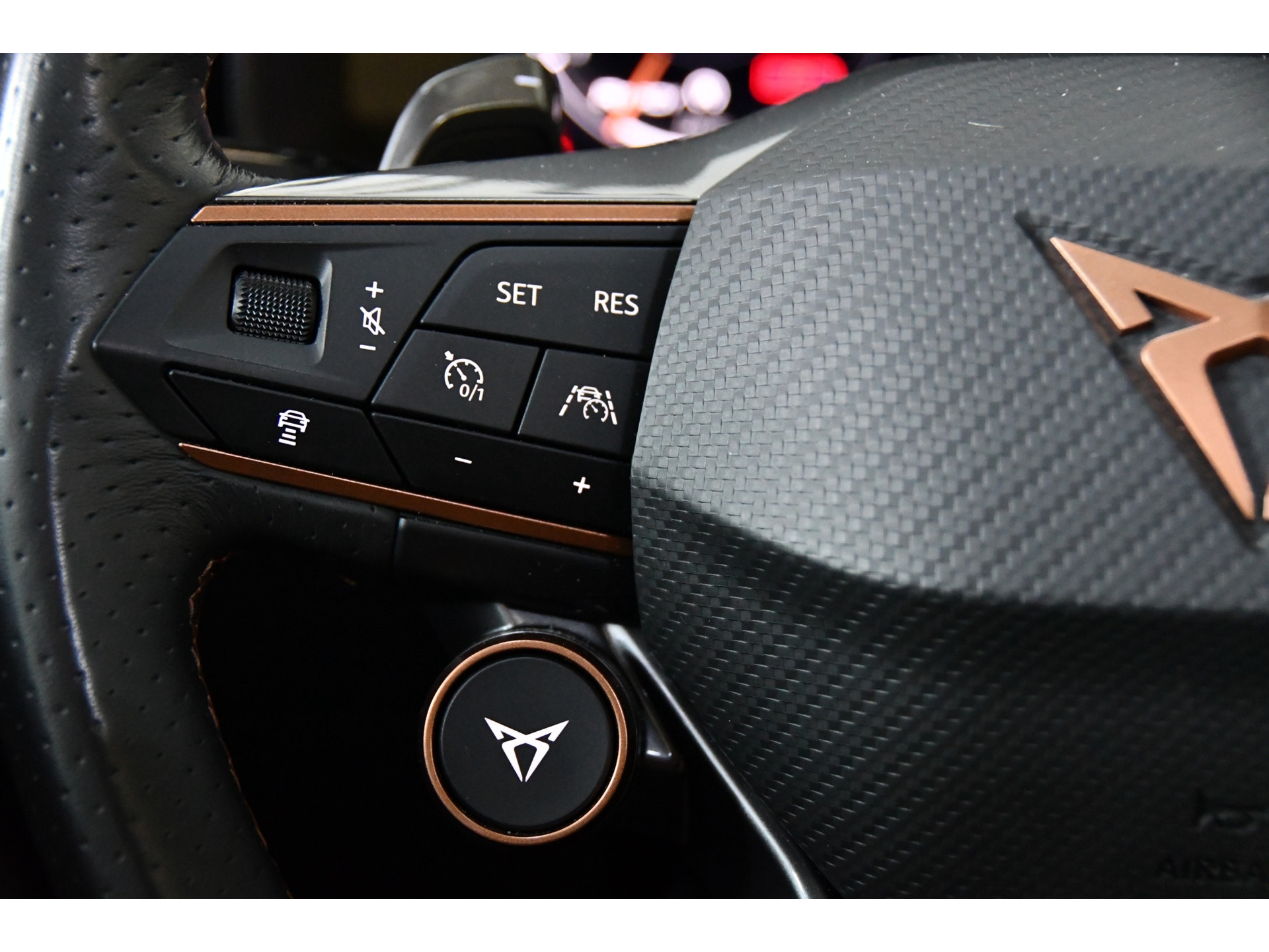 Cupra Formentor 2.0 TSI 4DRIVE 310PK Pano/Beats/Sfeer/Memmory 16