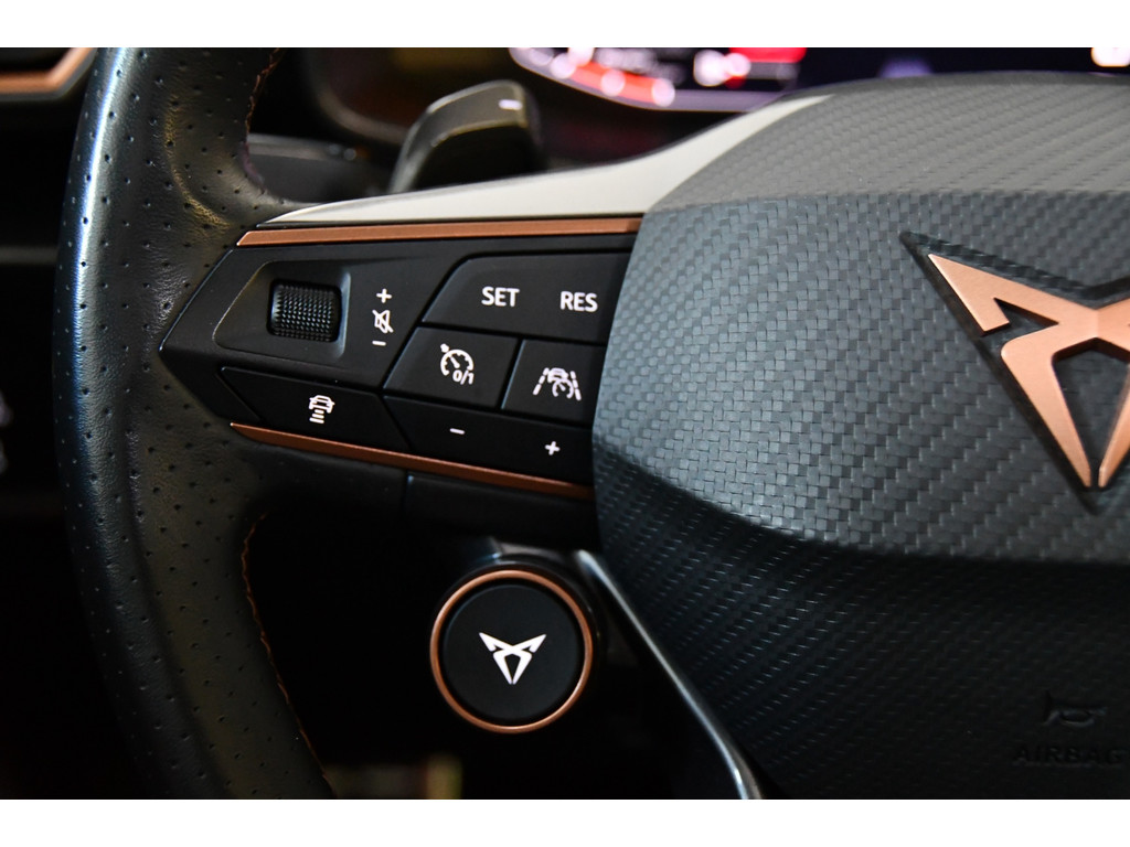 Cupra FORMENTOR 2.0 TSI 4DRIVE Pano/Keyless/Cam 16