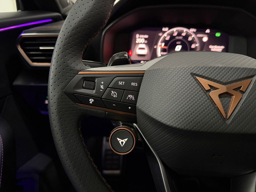 Cupra Formentor 2.0 TSI VZ 310PK 13