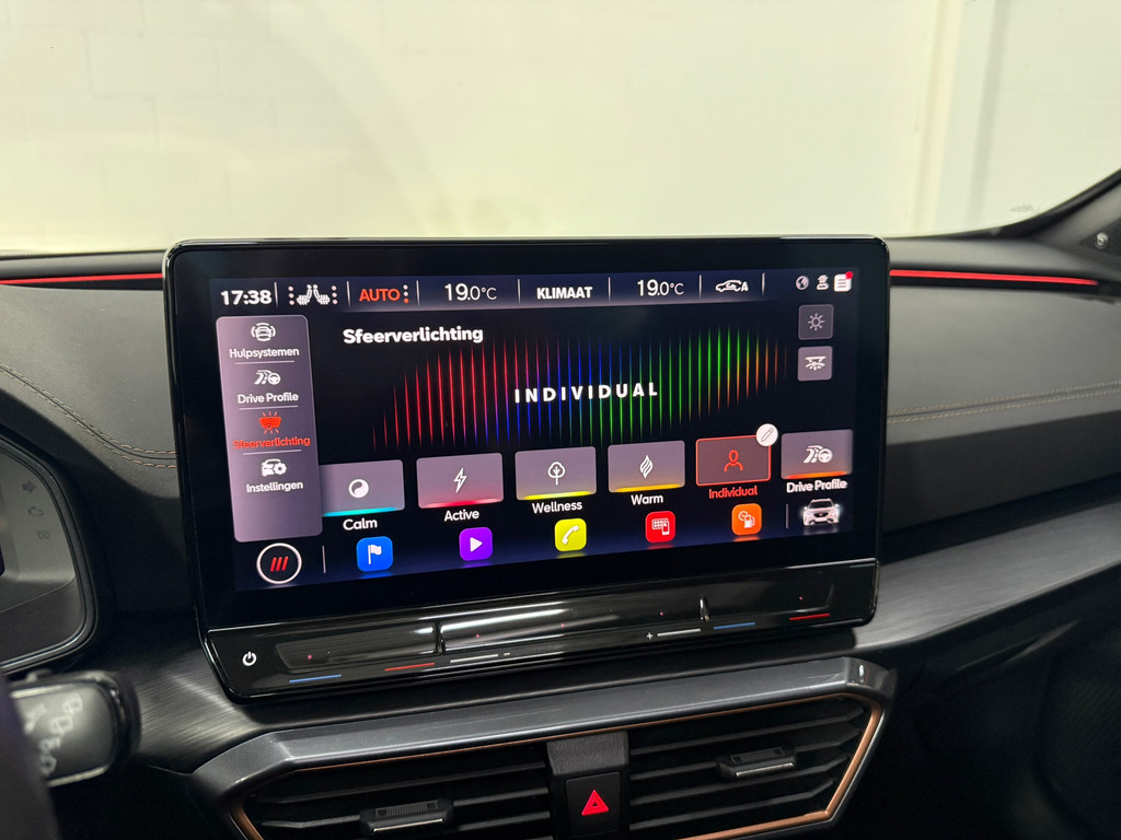 Cupra FORMENTOR 2.0 TSI 4DRIVE*Pano*Beats*Stoel/stuurverwarming* 17