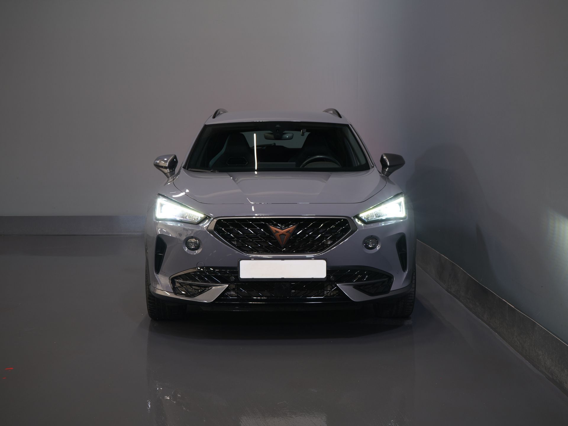 CUPRA Formentor SUV 1.4 e-Hybrid VZ 245 pk Copper LED Matrix/ Adapt.Cruise/ Elek. Klep/ Memory/ 19'' LMV/ Carplay 6