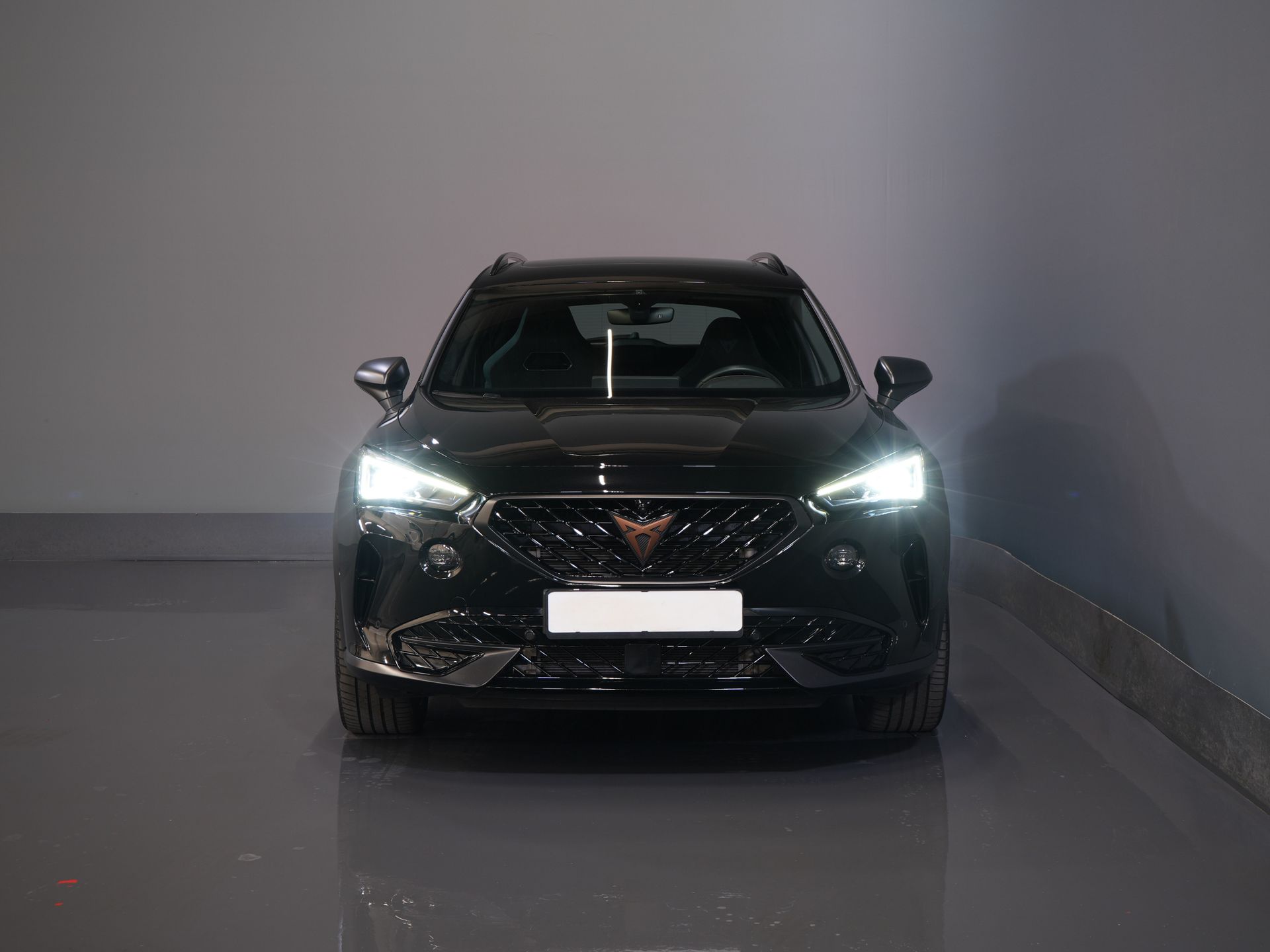 CUPRA Formentor SUV 1.4 e-Hybrid VZ 245 pk Tribe Edition Pano/ Matrix/ Adapt.Cruise/ Elek. Klep/ Memory/ 19'' LMV/ Carplay/ Standkachel/ Stuurverw./ 6