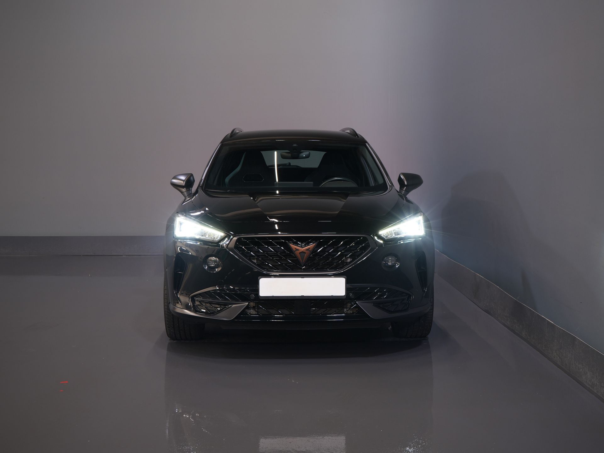 CUPRA Formentor SUV 1.4 e-Hybrid VZ 245 pk Tribe Edition LED Matrix / Adapt.Cruise/ Alcantara/ 19” LMV/ Trekhaak/ Memory/ Stoelverw./ Stuurverw. 6