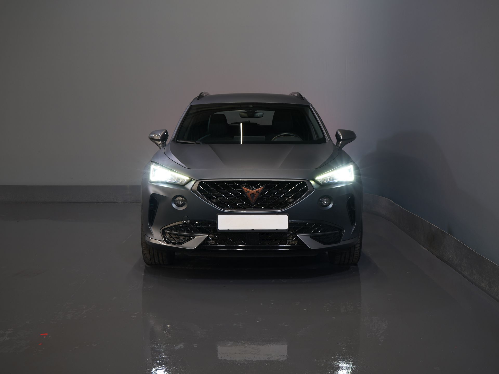 CUPRA Formentor SUV 1.4 TSI e-Hybrid LED/ Adapt. Cruise/ 19
