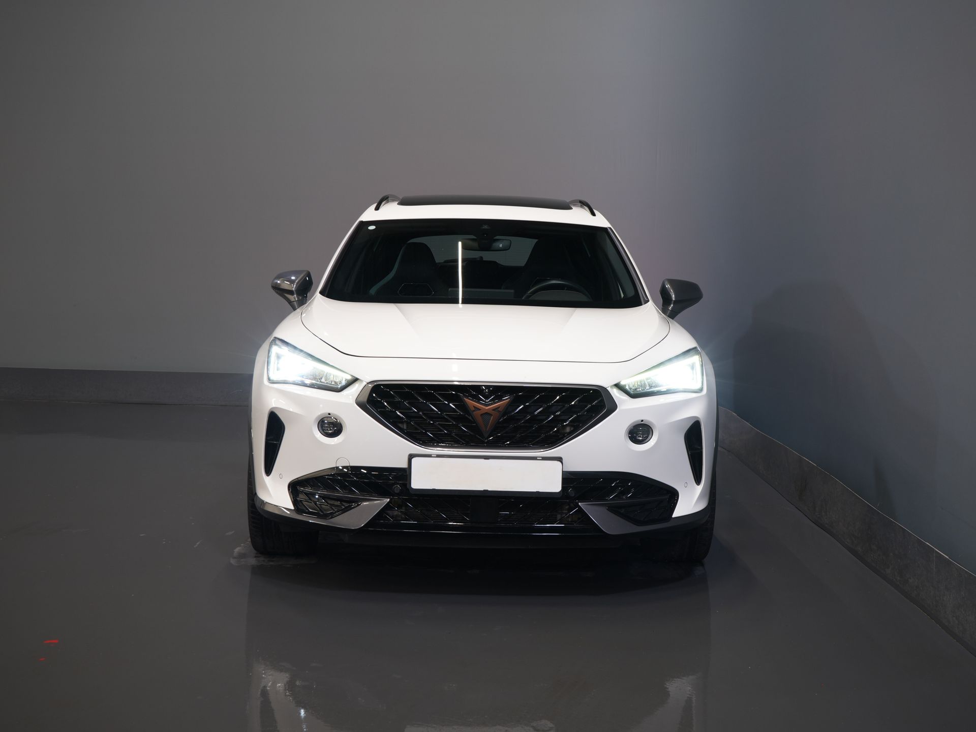 CUPRA Formentor SUV 1.4 e-Hybrid 245 pk VZ Performance Matrix/ Pano/ Adapt.Cruise/ Elek.Trekhaak/ Mem.Stoel/ Leder/ Navi/ Stoelverw./ Stuurverw./ Cl 6