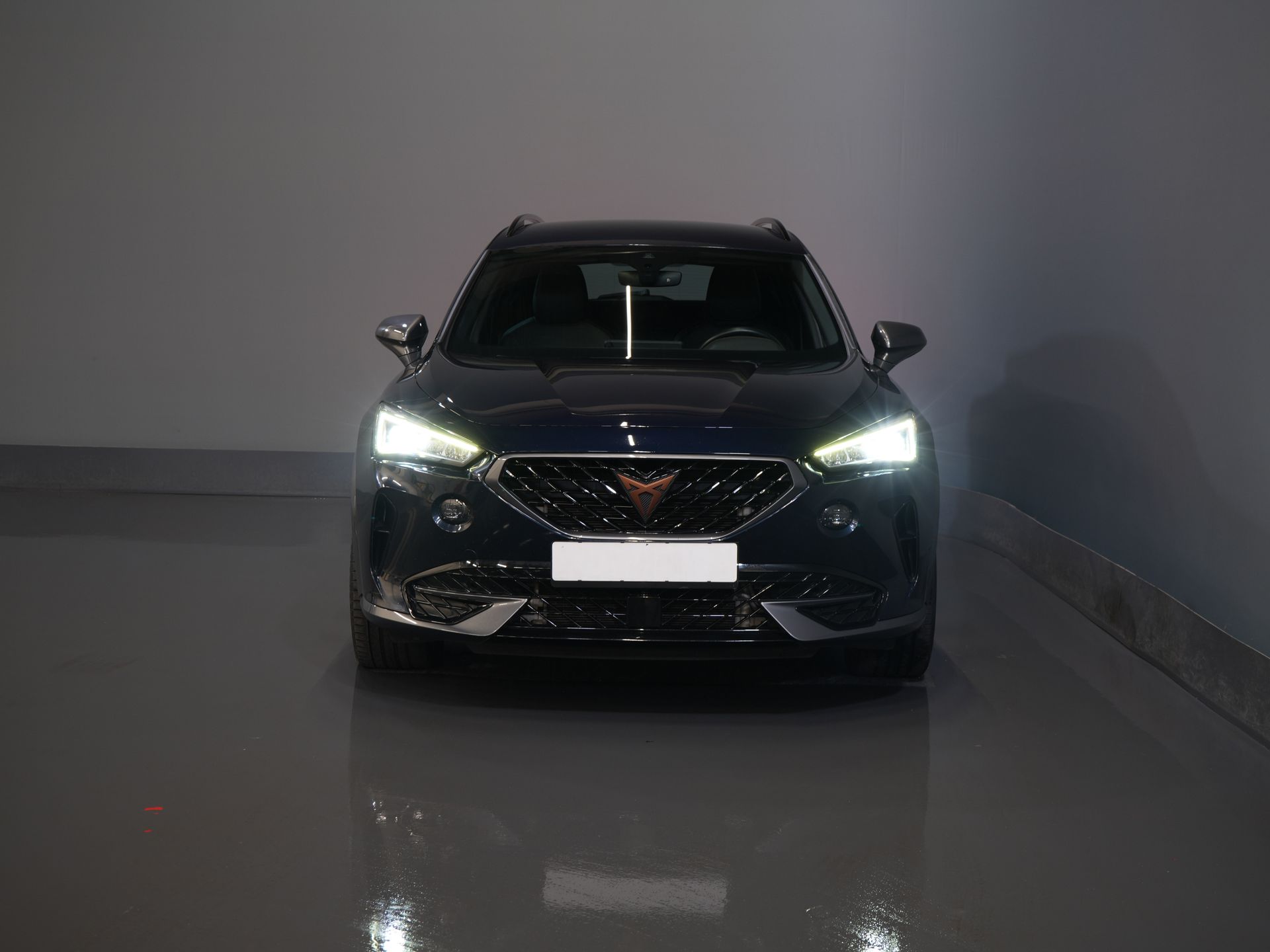 CUPRA Formentor SUV 1.4 e-Hybrid Copper Edition Adapt.Cruise/ Matrix/ Stoelverw./ Camera/ Carplay/ Standkachel/ Stuurverw./ PDC/ Climate 6