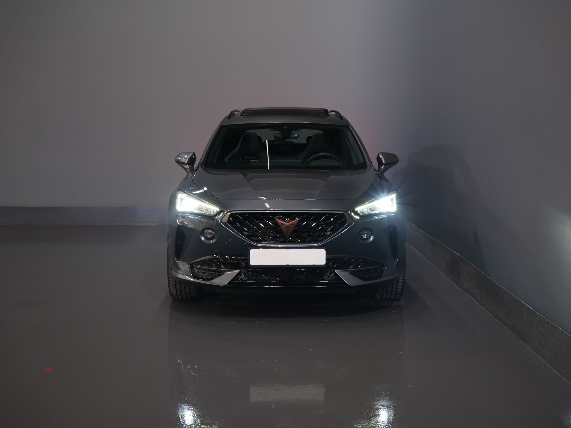 CUPRA Formentor SUV CUPRA Formentor 1.4 e-Hybrid 245 pk VZ Performance Edition Pano/ Leder/ Elek.Klep/ Mem.Stoel/ Matrix/ Adapt. Cruise/ Carplay/ Ca 6