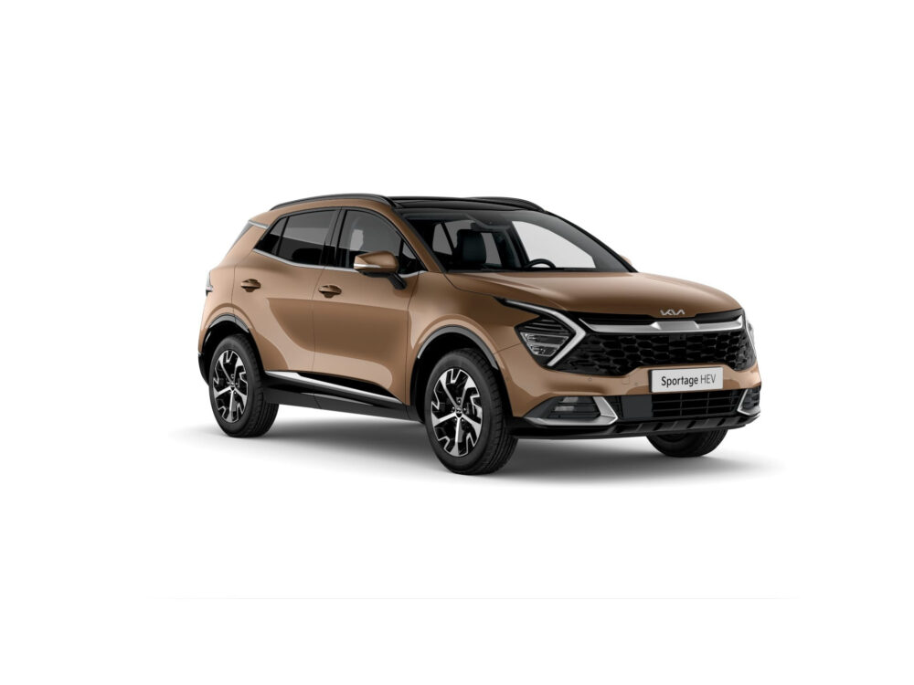 Kia Sportage 1.6 T-GDi Hybrid DynamicPlusLine 10