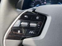 Kia Niro EV DynamicLine 64.8 kWh 47