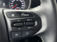 Kia Picanto 1.0 DPi DynamicPlusLine 49
