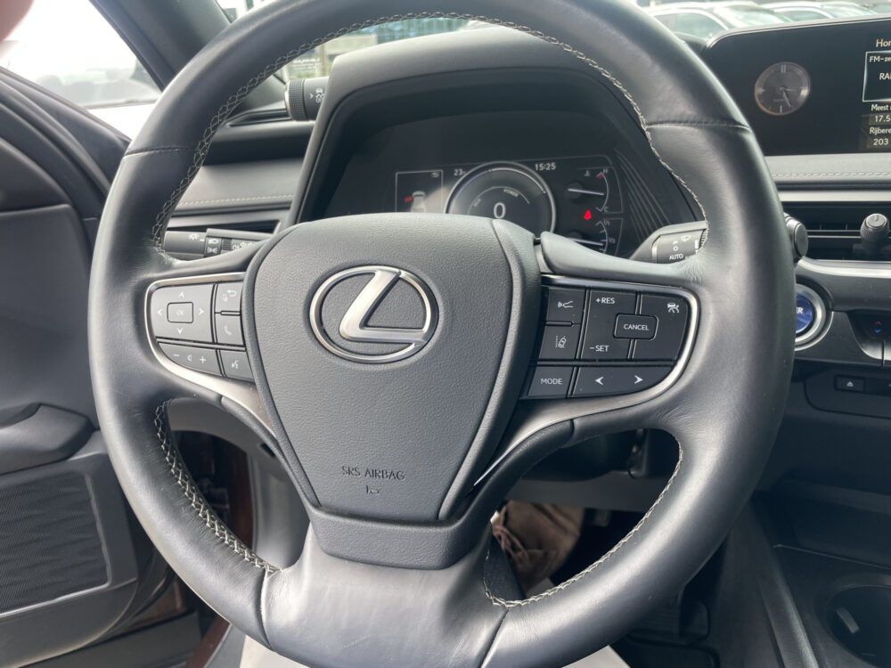 Lexus UX 250h Business Line 14