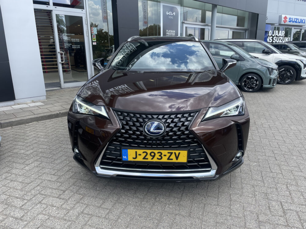 Lexus UX 250h Business Line 2