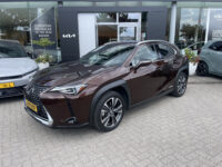 Lexus UX 250h Business Line 21