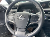 Lexus UX 250h Business Line 35