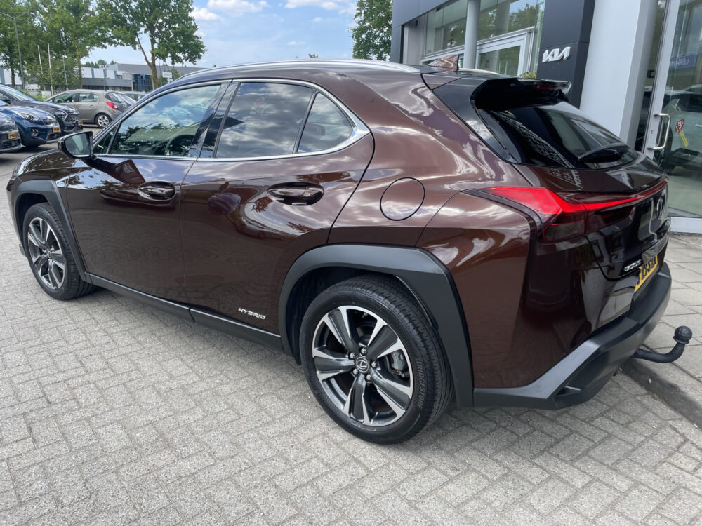 Lexus UX 250h Business Line 9