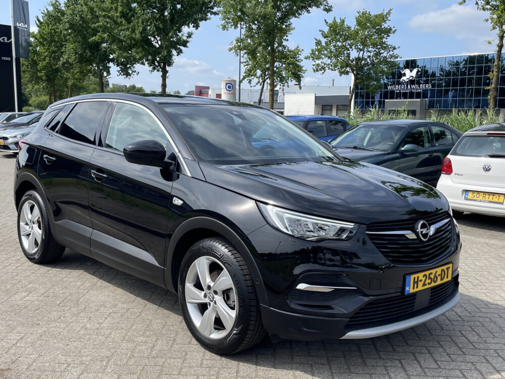 Opel Grandland X 1.2 Turbo Business Edition 3