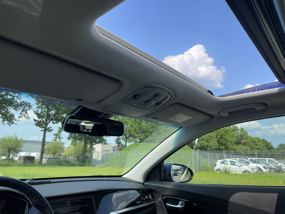 Kia e-Niro DynamicPlusLine 64 kWh 12