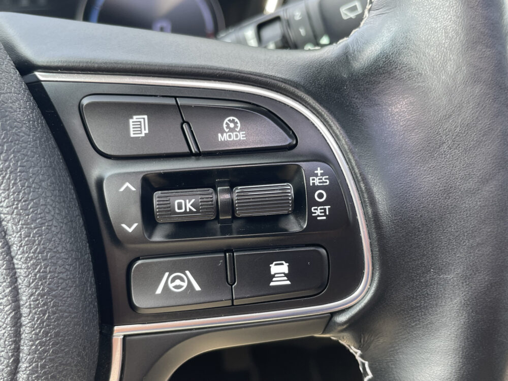 Kia e-Niro DynamicPlusLine 64 kWh 21