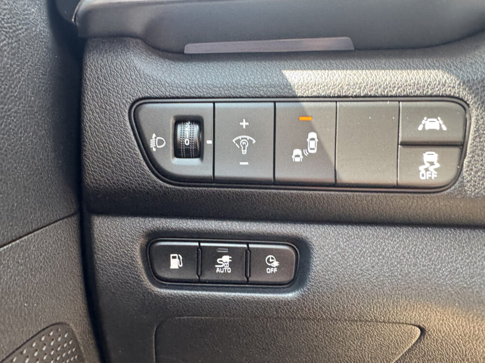 Kia Niro 1.6 GDi PHEV DynamicPlusLine 19