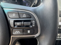 Kia Niro 1.6 GDi PHEV DynamicPlusLine 46