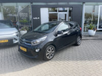 Kia Picanto 1.0 DPi DynamicPlusLine 13