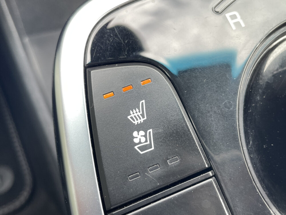 Kia e-Niro ExecutiveLine 64 kWh 24
