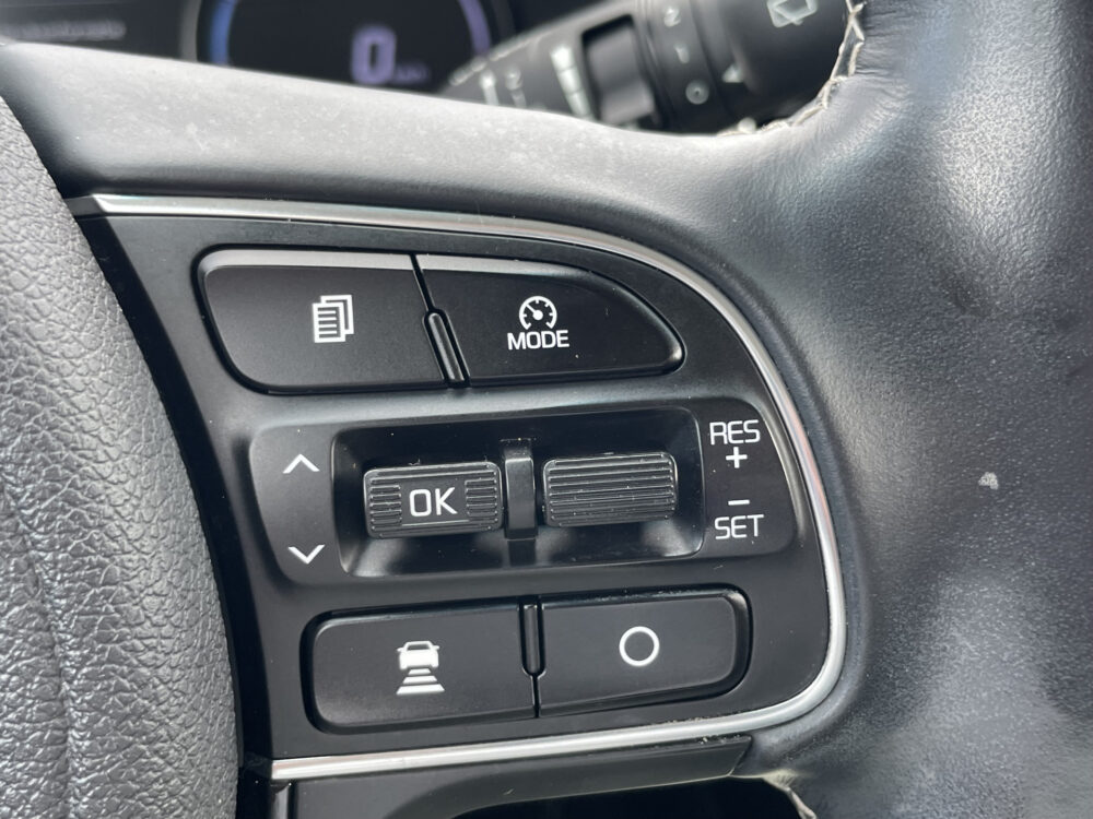 Kia e-Niro ExecutiveLine 64 kWh 28