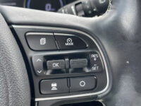 Kia e-Niro ExecutiveLine 64 kWh 62