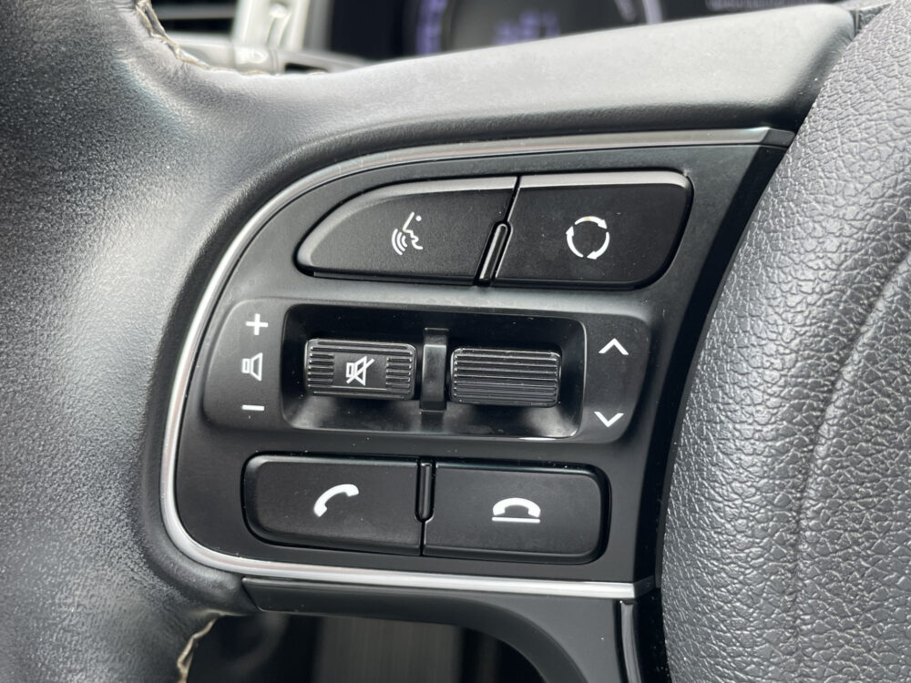 Kia e-Niro ExecutiveLine 64 kWh 27