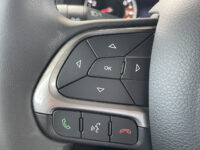 Jeep Renegade 1.3T DDCT Limited 40
