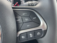 Jeep Renegade 1.3T DDCT Limited 41