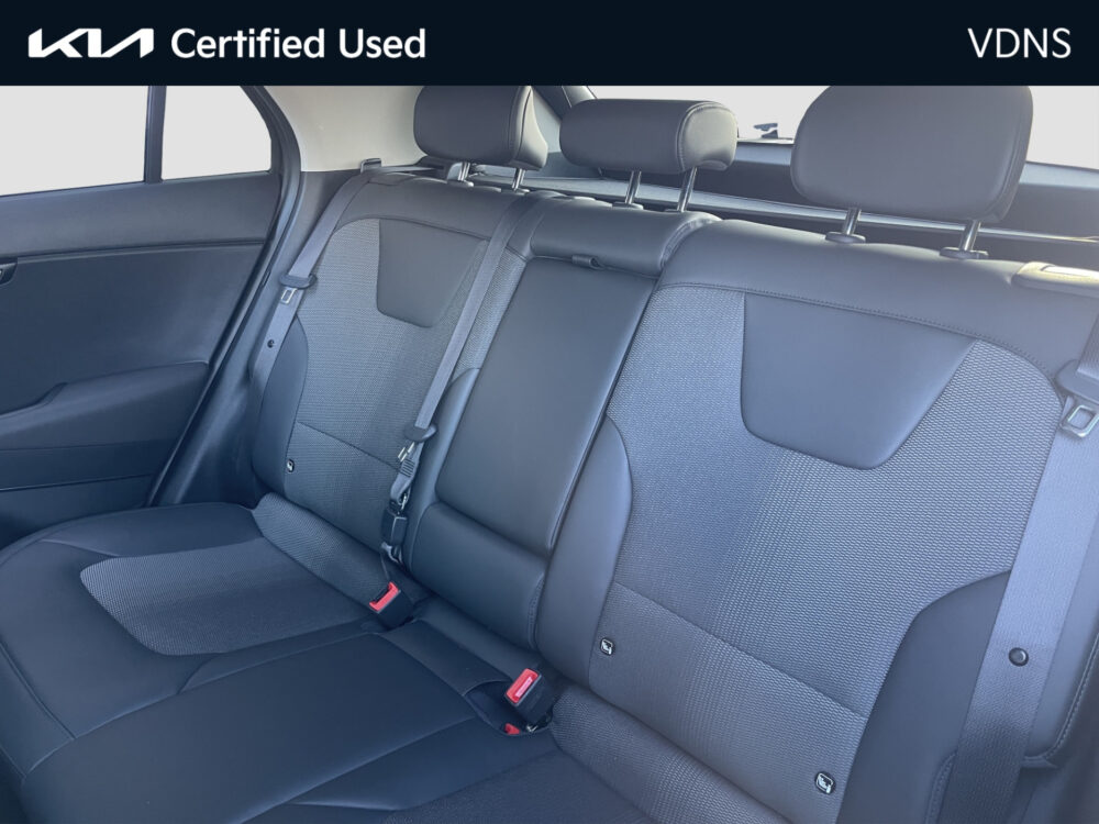 Kia Niro EV Edition 64.8 kWh 10