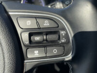 Kia Niro 1.6 GDi Hybrid DynamicPlusLine 52