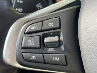 BMW X1 xDrive20i High Executive 52