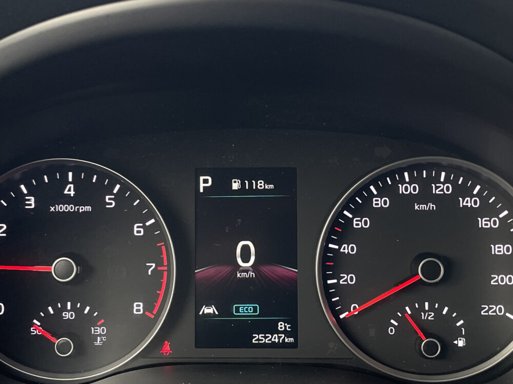 Kia Stonic 1.0 T-GDi MHEV DynamicPlusLine 24