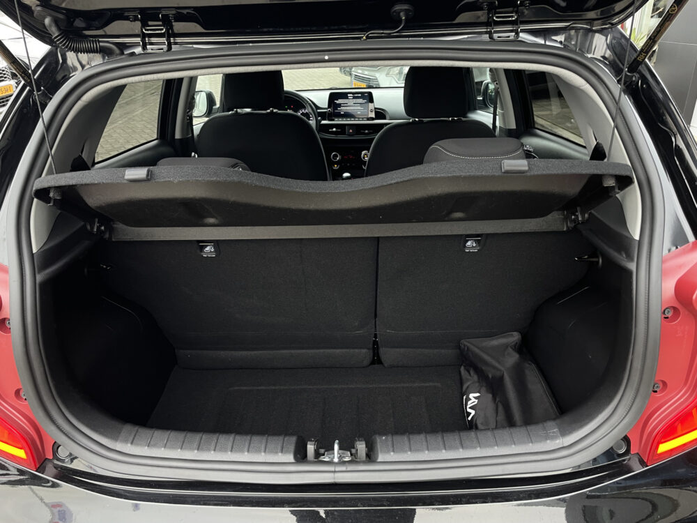 Kia Picanto 1.0 DPi DynamicPlusLine 10