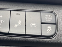 Kia Niro 1.6 GDi Hybrid ExecutiveLine 64