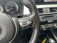 BMW X1 xDrive25e Executive 31