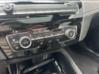 BMW X1 xDrive25e Executive 36