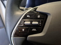 Kia Niro EV DynamicLine 64.8 kWh 42
