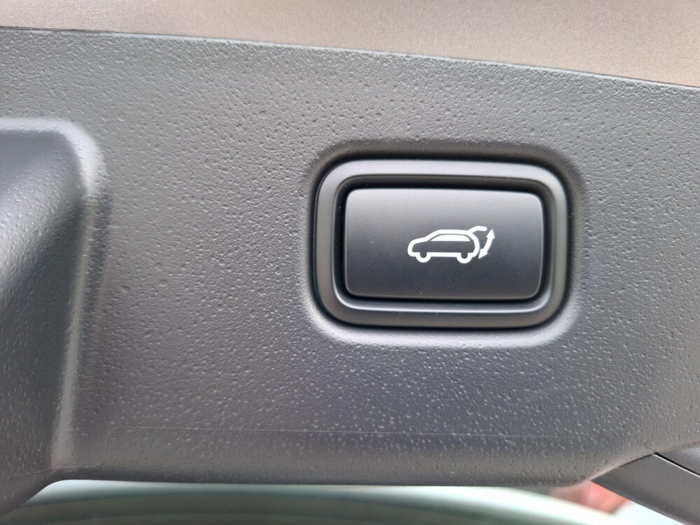 Kia Niro 1.6 GDi Hybrid DynamicPlusLine 19
