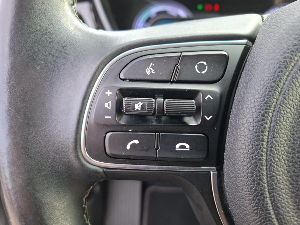 Kia Niro 1.6 GDi PHEV DynamicLine 19