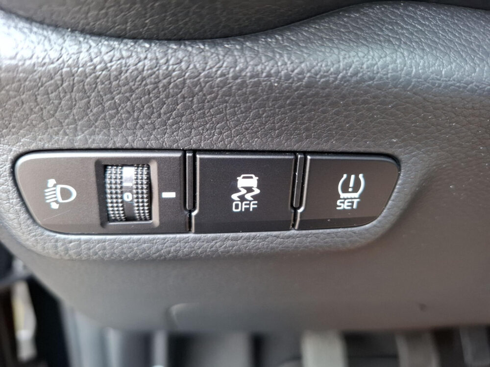 Kia Picanto 1.0 DPi DynamicPlusLine 19