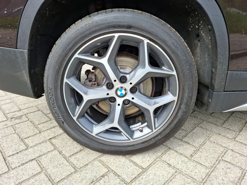 BMW X1 sDrive20i High Executive 19