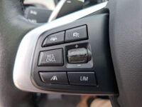 BMW X1 sDrive20i High Executive 63