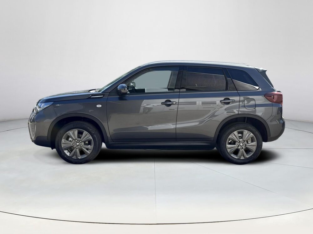 Suzuki 1