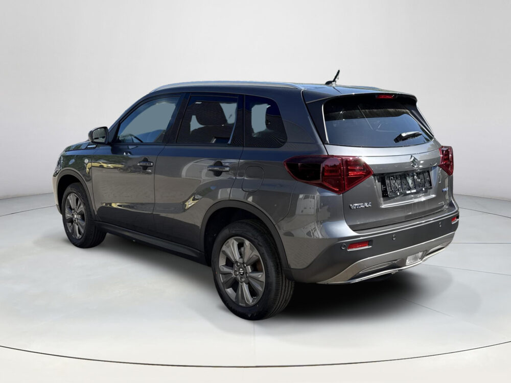 Suzuki 2