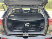 Kia e-Niro ExecutiveLine 64 kWh 41