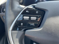 Kia Niro EV Edition 64.8 kWh 52